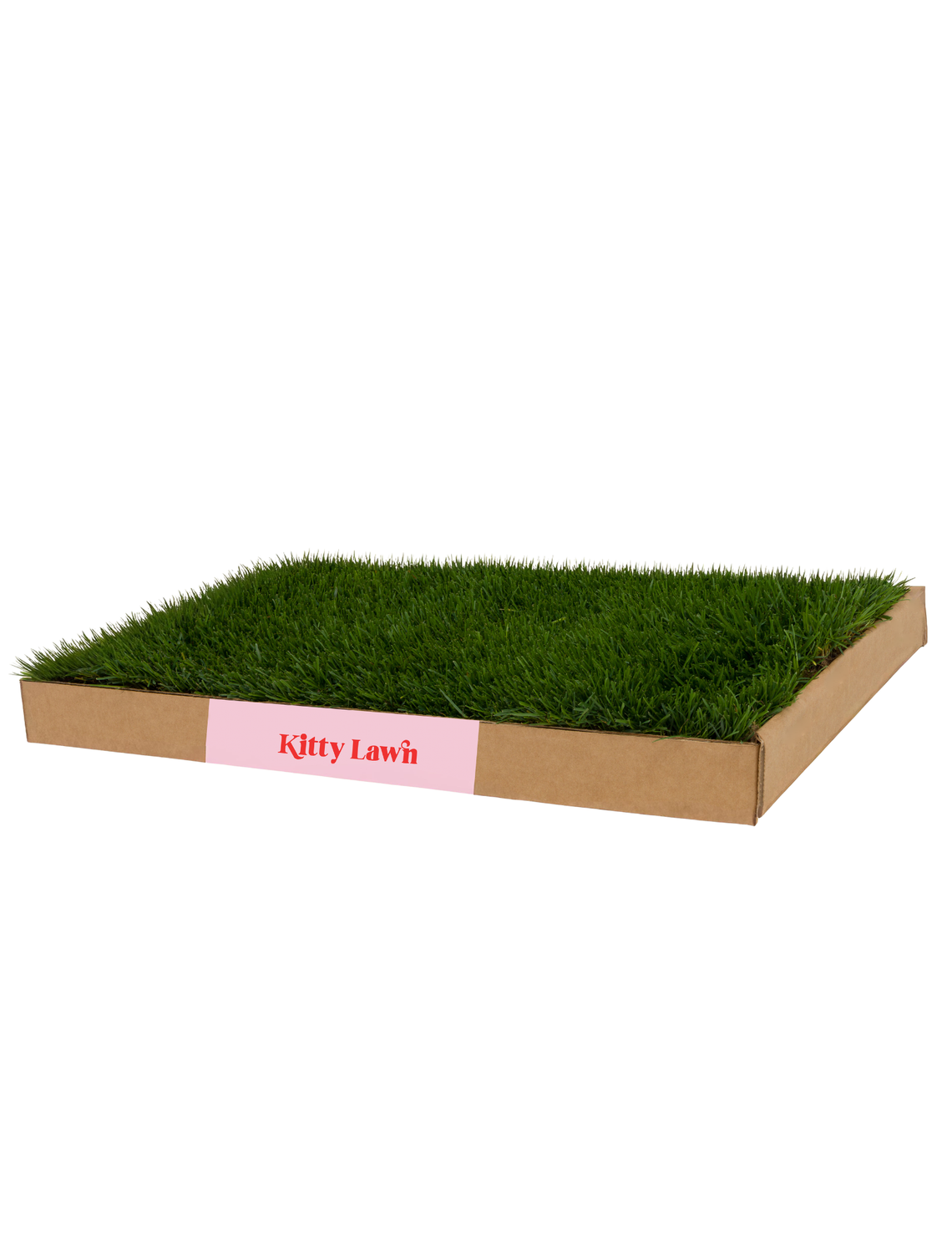Luxury Kitty Lawn